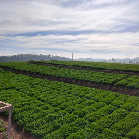Brown Tree Resorts Ooty Eksteriør bilde