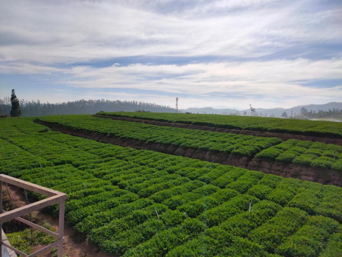 Brown Tree Resorts Ooty Eksteriør bilde